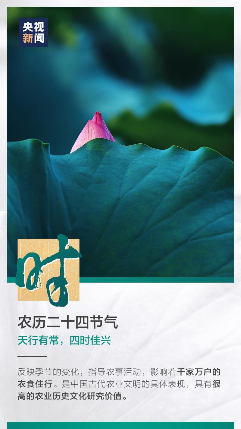 這也太浪漫了吧！