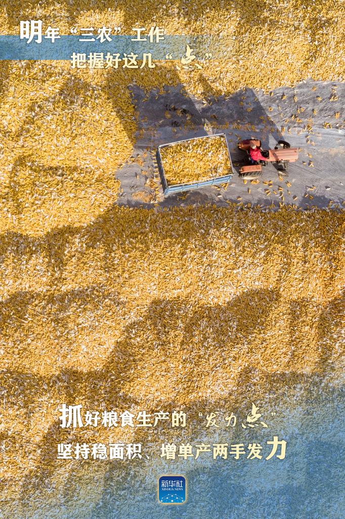 明年“三農(nóng)”工作，這幾個(gè)“點(diǎn)”要把握好