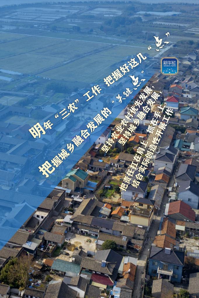 明年“三農(nóng)”工作，這幾個(gè)“點(diǎn)”要把握好