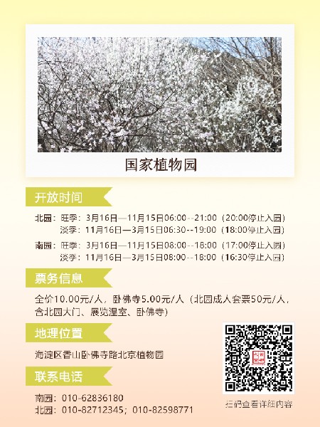 追花指南第六期！杏花雨 楊柳風(fēng) 北京最美的杏花在這里
