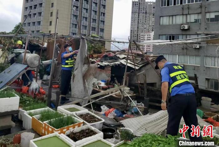 在一處居民樓屋頂，城管隊(duì)員拆除“空中菜園”?！〗疖?攝