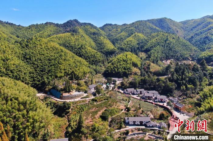 航拍江西井岡山市神山村，青山環(huán)繞，風(fēng)景秀美。　劉力鑫 攝