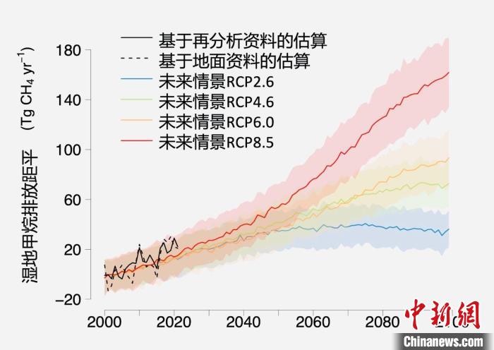 基于觀測(cè)的濕地甲烷排放變化與未來氣候變化情景下估算的對(duì)比?！≈锌圃呵嗖馗咴?供圖