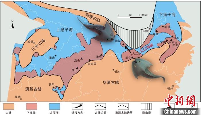 華南地區(qū)志留紀早期古地理圖和盔甲魚類化石產(chǎn)地(山顯任改自陳旭、戎嘉余，1996；戎嘉余等，2012) 中科院古脊椎所 供圖