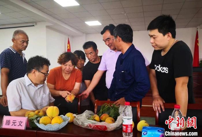民進(jìn)浙江省委會為三里橋黃桃種植戶送技術(shù)、送指導(dǎo)。　嘉善統(tǒng)戰(zhàn) 供圖