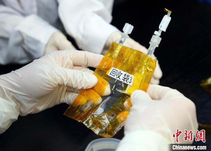 隨神舟十五號返回地面的空間科學(xué)實驗樣品?！≈锌圃嚎臻g應(yīng)用中心 供圖