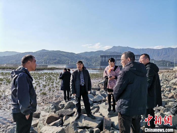 浙江海洋生態(tài)觀察：智慧大腦如何解鎖藍(lán)色發(fā)展密碼？