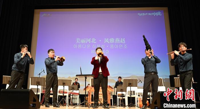 圖為音樂(lè)會(huì)現(xiàn)場(chǎng)?！∈谞栔袊?guó)文化中心供圖