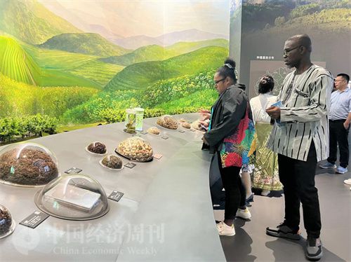   （在中國藥都中醫(yī)藥博物館，外媒記者了解中醫(yī)藥發(fā)展史。中國經(jīng)濟周刊記者 郭志強 攝）