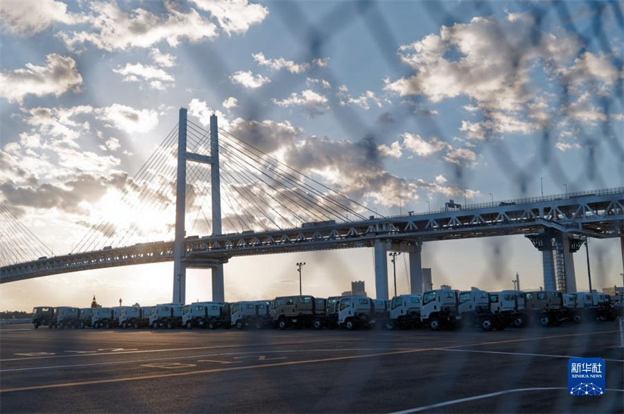 這是11月14日在日本橫濱拍攝的進出口汽車集散場地。新華社記者 張笑宇 攝