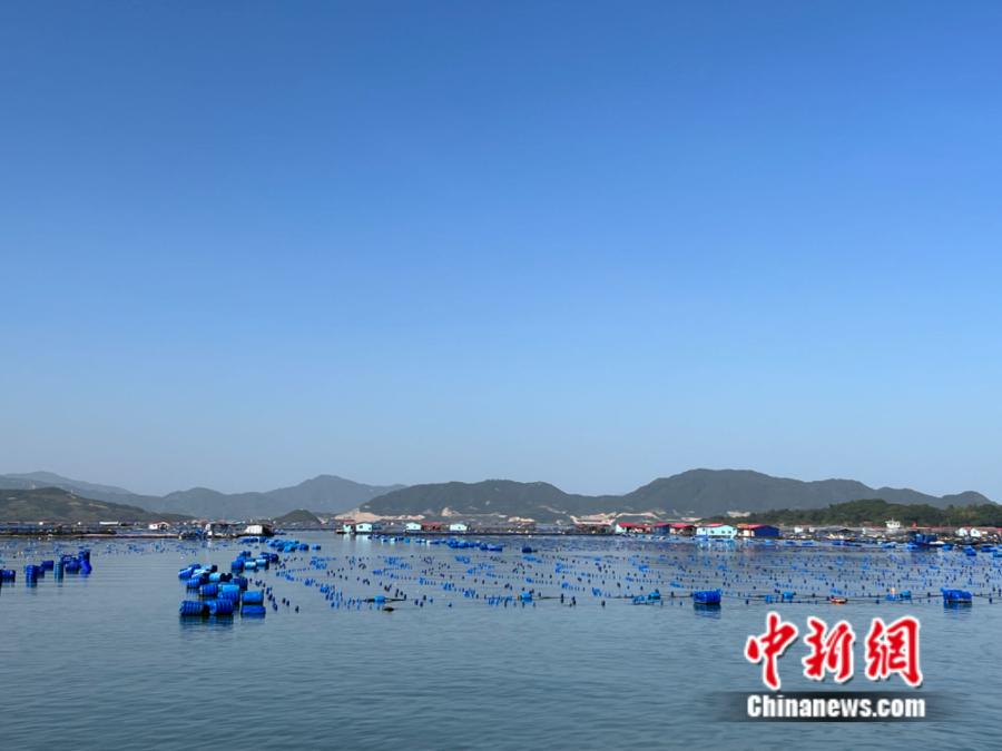 霞浦縣海上魚(yú)排。<a target='_blank' href='/' ><p  align=