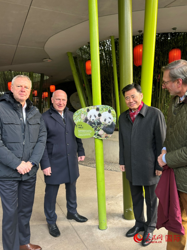 中國(guó)駐德國(guó)大使吳懇（右二）、柏林市長(zhǎng)韋格納（左二）、動(dòng)物園園長(zhǎng)克尼里姆（右一）和監(jiān)事會(huì)主席布魯克曼（左一）共同為“夢(mèng)想”“夢(mèng)圓”大熊貓紀(jì)念牌揭幕。人民網(wǎng)記者 徐馨攝