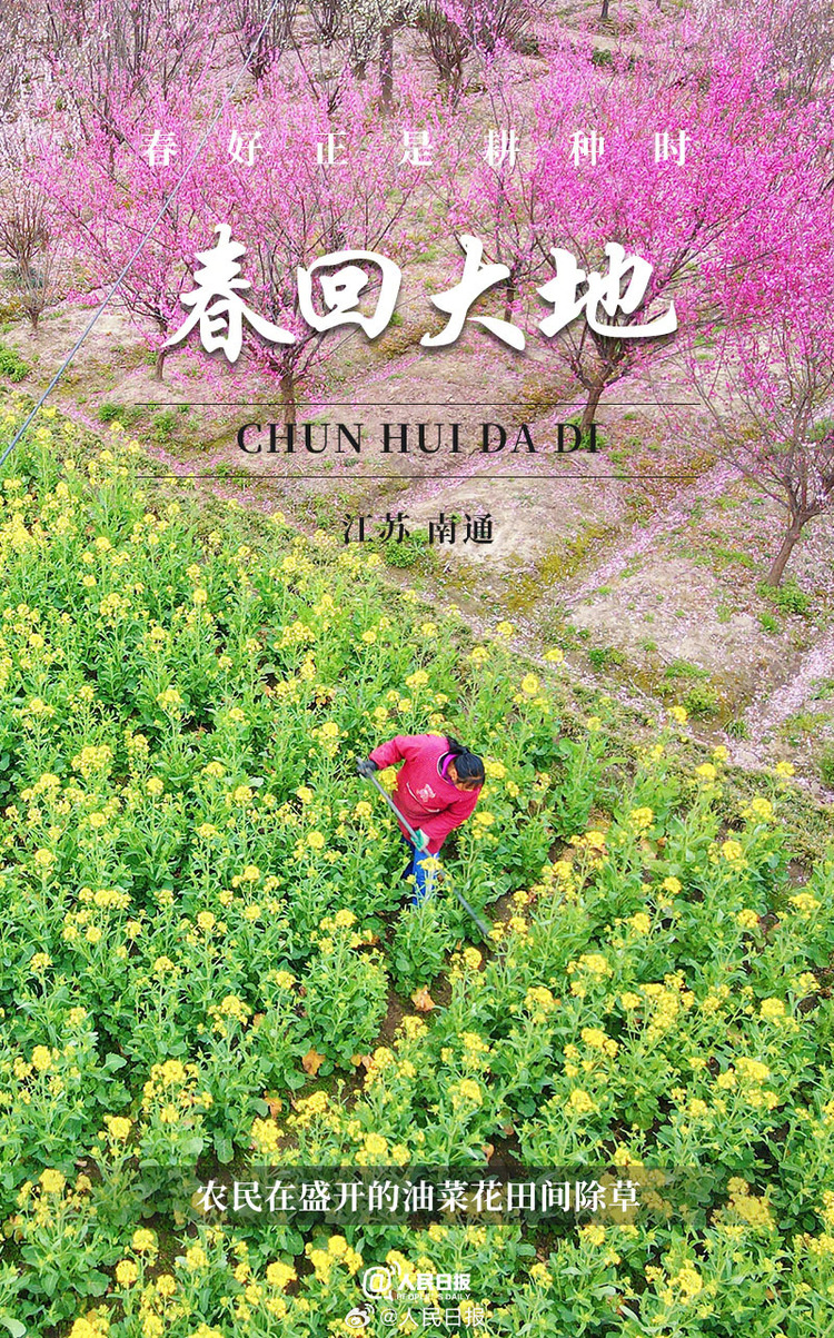 生機盎然！用課本封面打開春耕畫卷