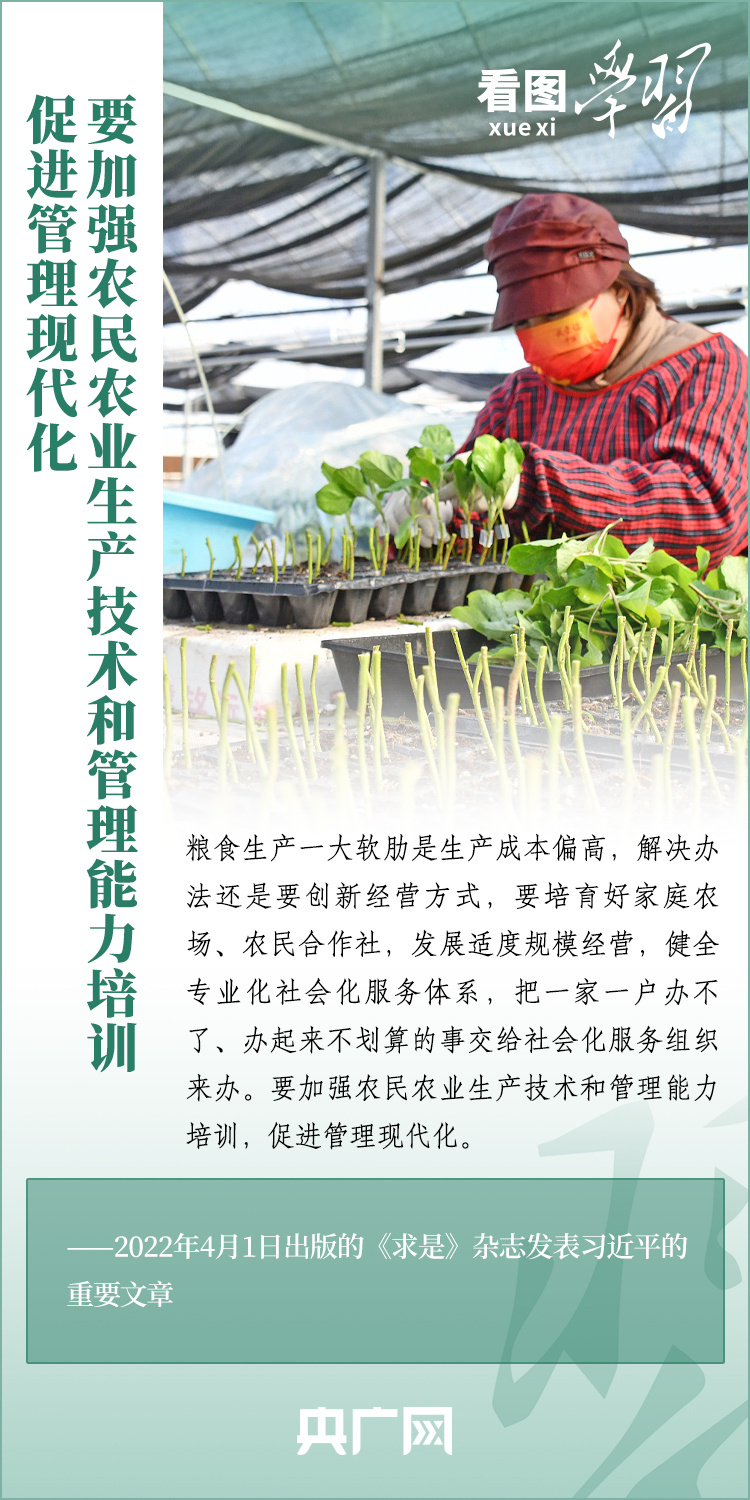 看圖學(xué)習(xí)丨推廣良田、良種、良法、良機(jī) 給農(nóng)業(yè)現(xiàn)代化插上科技的翅膀