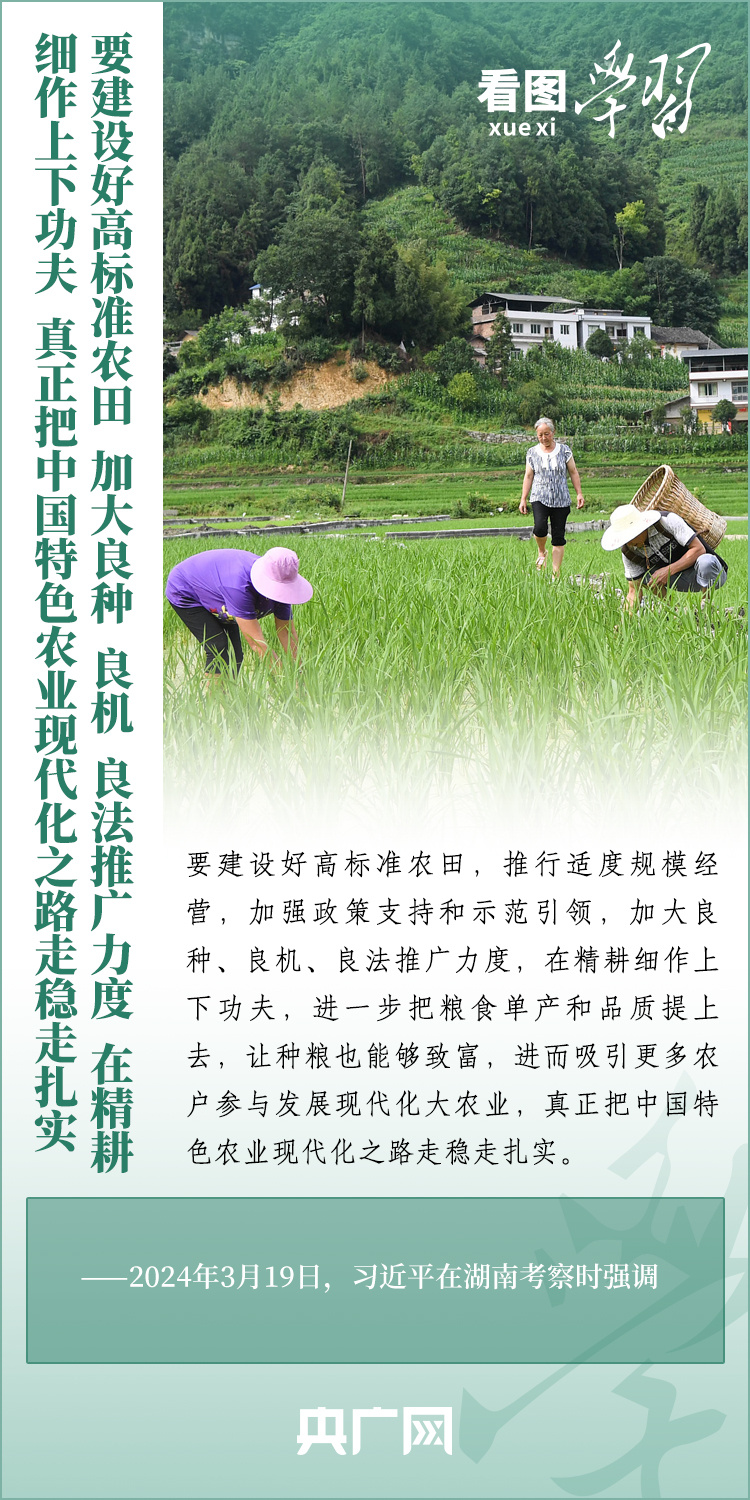 看圖學(xué)習(xí)丨推廣良田、良種、良法、良機(jī) 給農(nóng)業(yè)現(xiàn)代化插上科技的翅膀