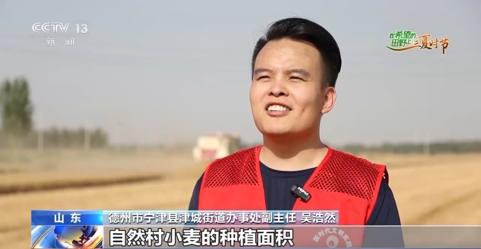 “三夏”生產(chǎn)思維導(dǎo)圖安排上了！還有政府大院等你來(lái)“曬”