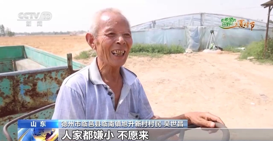 “三夏”生產(chǎn)思維導(dǎo)圖安排上了！還有政府大院等你來(lái)“曬”
