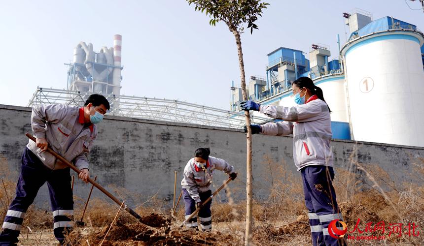 邢臺金隅職工在石邢公路沿線植樹。 宋繼昌攝