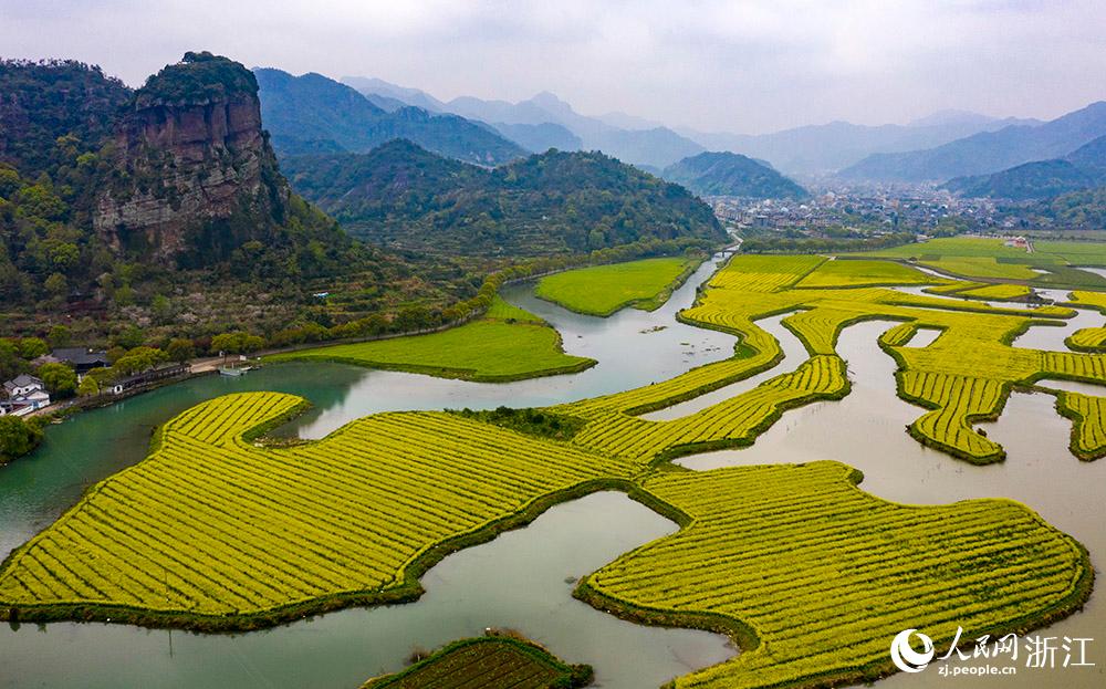 3月28日，航拍浙江省臨海市桃渚鎮(zhèn)桃江十三渚盛開(kāi)的油菜花景色。人民網(wǎng) 章勇濤攝