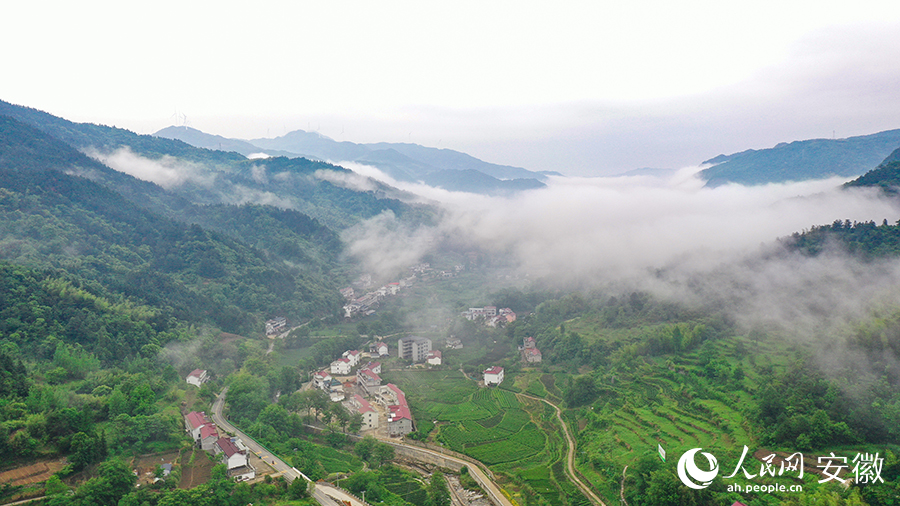 雨后的金寨大灣村，云霧環(huán)繞，宛如一幅田園山水畫卷。人民網(wǎng) 張俊攝
