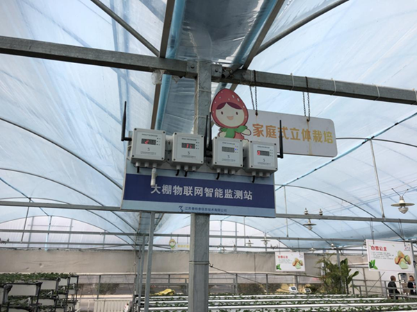 都市四季果園內(nèi)的物聯(lián)網(wǎng)智能監(jiān)測(cè)站系統(tǒng)。東?？h委宣傳部供圖