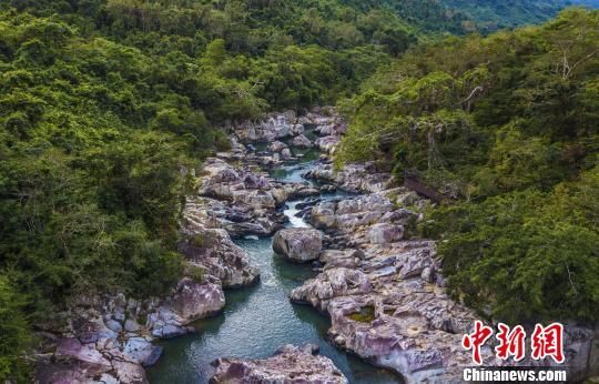 2018年海南生態(tài)環(huán)境狀況等級(jí)為“優(yōu)”，植被覆蓋率高，生物多樣性豐富，生態(tài)系統(tǒng)穩(wěn)定，圖為海南中部熱帶雨林。　駱云飛　攝