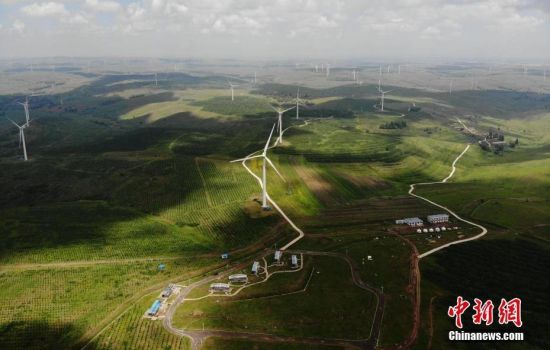 6月28日，河北張家口張北草原上大片風(fēng)力發(fā)電的“風(fēng)車”規(guī)模宏大。 中新社記者 楊艷敏 攝