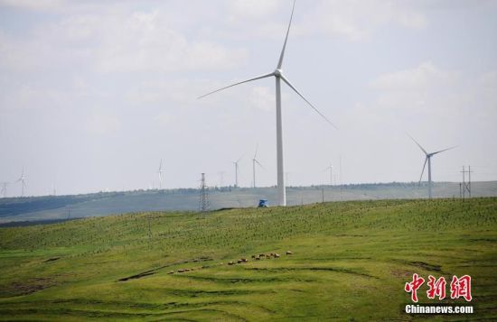 6月28日，河北張家口張北草原上大片風(fēng)力發(fā)電的“風(fēng)車”規(guī)模宏大。 中新社記者 楊艷敏 攝