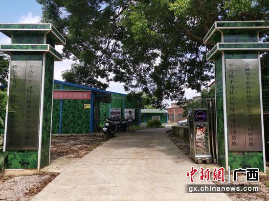 圖為平馬社區(qū)竹鼠養(yǎng)殖基地。