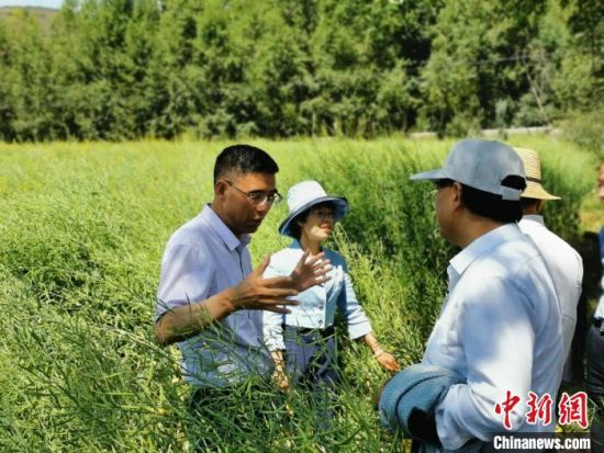 圖為九三學(xué)社青海省委主委杜德志(左一)在基層調(diào)研。受訪者供圖
