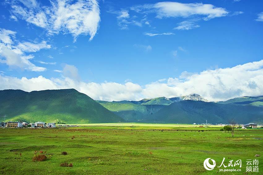 納帕海濕地風景。呂昊辰攝