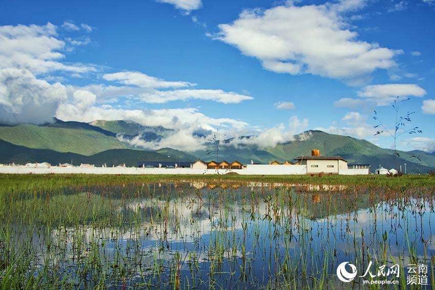 納帕海濕地風景。呂昊辰攝