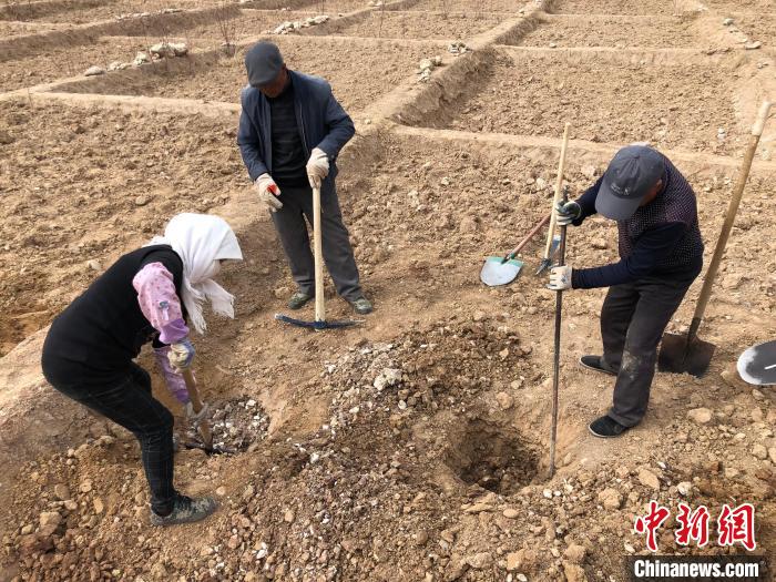 資料圖為建行青海省分行綠化區(qū)施工隊隊員處理亂石?！〗ㄐ星嗪Ｊ》中泄﹫D
