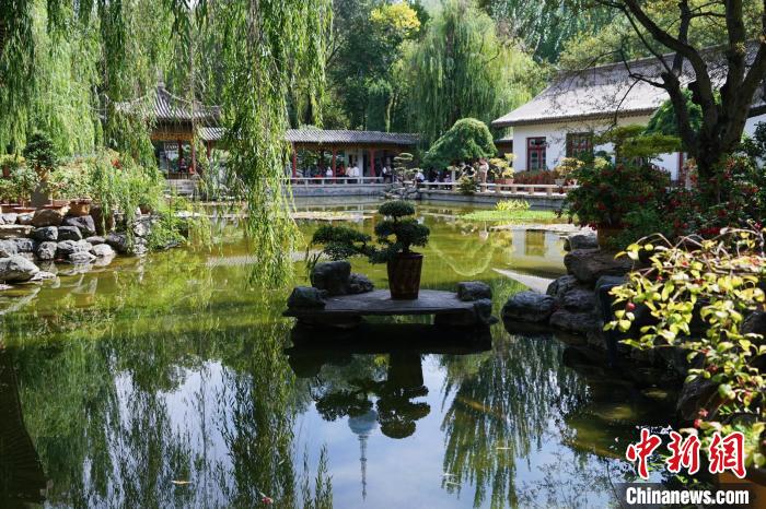 圖為西寧園林植物園秋日風(fēng)景別有韻味?！●R銘言 攝