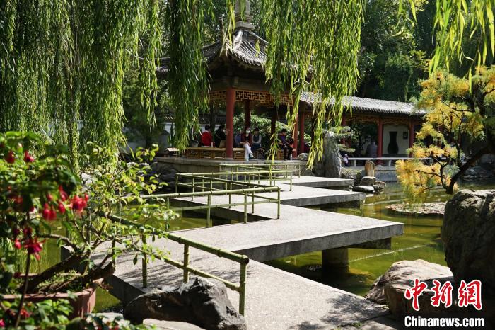 圖為西寧園林植物園秋日風(fēng)景別有韻味?！●R銘言 攝