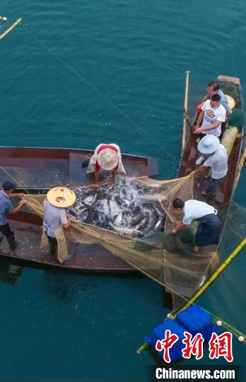 捕魚現(xiàn)場。　主辦方供圖
