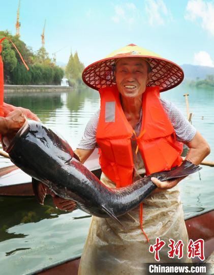 工作人員展示捕撈成果?！≈鬓k方供圖
