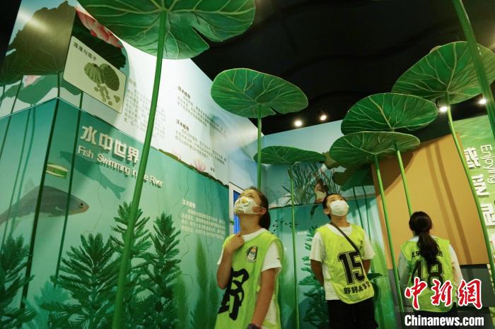 圖為小朋友在青海西寧湟水國家濕地公園科普館內參觀學習?！●R銘言 攝
