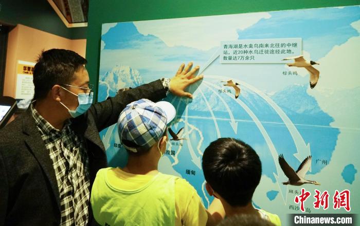 圖為小朋友在青海西寧湟水國家濕地公園科普館內參觀學習?！●R銘言 攝