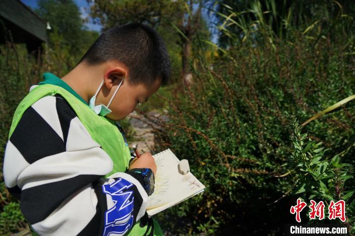 圖為小朋友在青海西寧湟水國家濕地公園內認識植物并進行繪畫?！●R銘言 攝