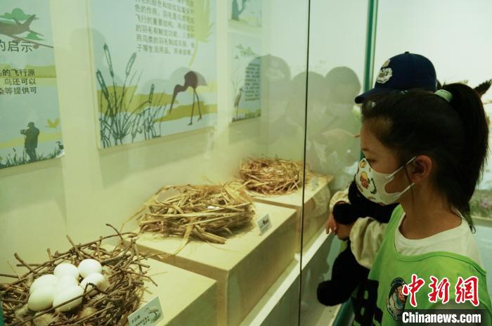 圖為小朋友在青海西寧湟水國家濕地公園科普館內參觀學習。　馬銘言 攝