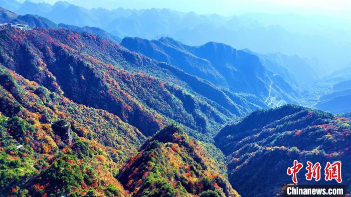 巴山大峽谷彩林迎來最佳觀賞期。　張平 攝
