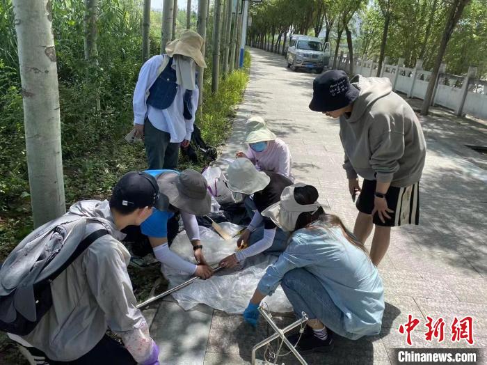 圖為科研人員正在進(jìn)行監(jiān)測。　西寧湟水國家濕地公園供圖