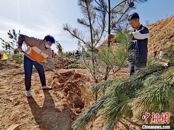 圖為西寧市城東區(qū)義務植樹活動現(xiàn)場。　張?zhí)砀?攝