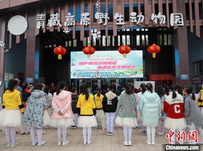 圖為青海省西寧市開展第42屆“愛鳥周”科普宣傳活動?！●R銘言 攝
