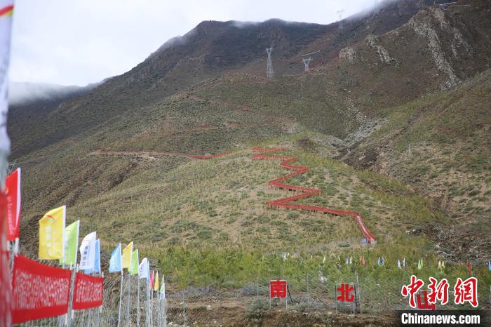 圖為拉薩南北山綠化工程拉薩曲水縣才納村5號片區(qū)?！∝暣_ 攝