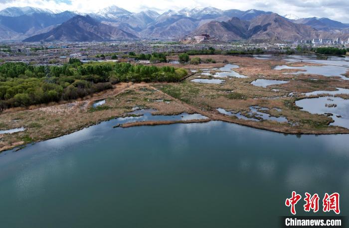 圖為拉薩拉魯濕地。(無人機照片) 李林 攝