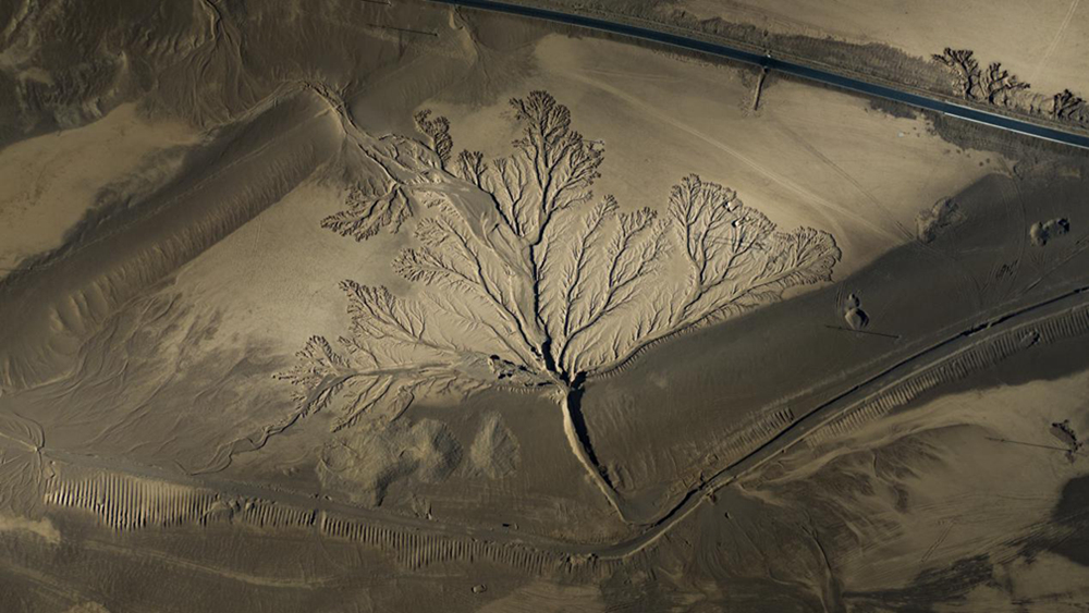 無(wú)人機(jī)視角下的西藏阿里地區(qū)改則縣“大地之樹(shù)”景觀。尼瑪多吉攝