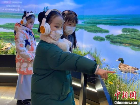 圖為學(xué)生在西寧市第一中學(xué)濕地科普宣教館內(nèi)參觀。　李江寧 攝