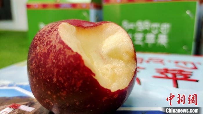 圖為通麥村特色甜心蘋果。　貢桑拉姆 攝